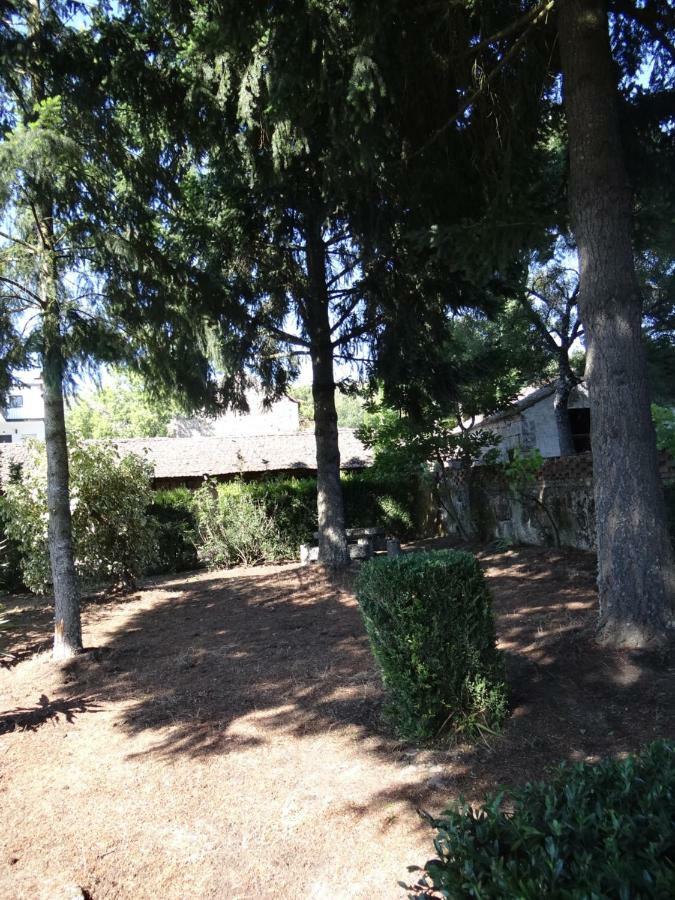 Museu Casa Aleixo Guest House Sernancelhe Bagian luar foto