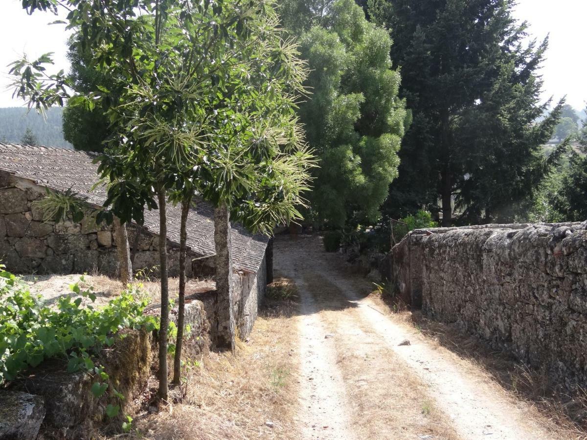 Museu Casa Aleixo Guest House Sernancelhe Bagian luar foto