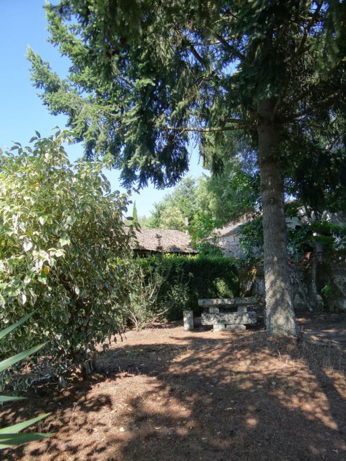 Museu Casa Aleixo Guest House Sernancelhe Bagian luar foto