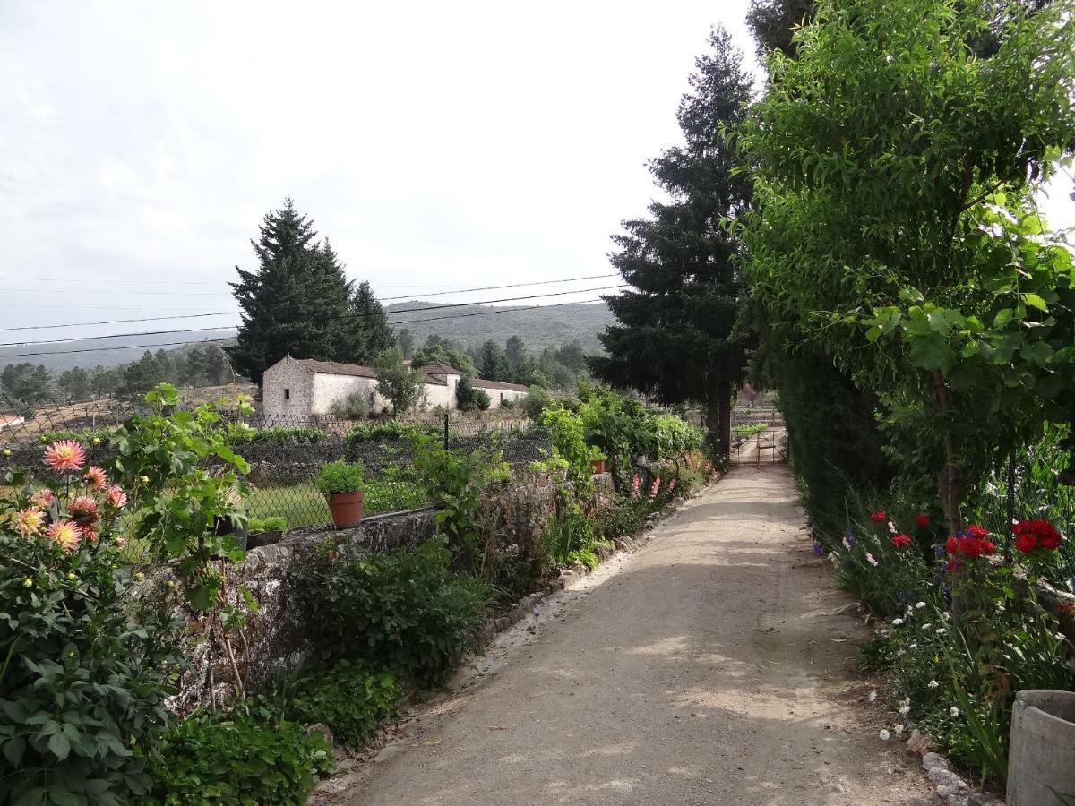 Museu Casa Aleixo Guest House Sernancelhe Bagian luar foto
